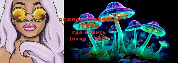 шишки Армянск