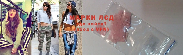 молекула духа Арсеньев