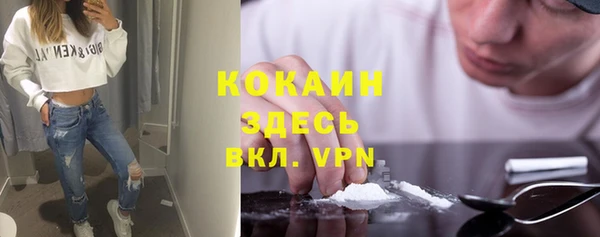 шишки Армянск