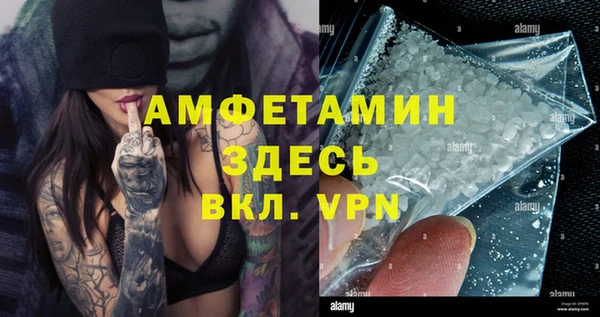 шишки Армянск