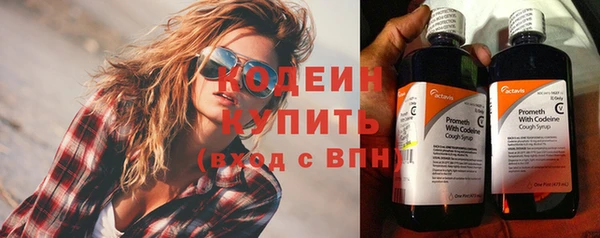 молекула духа Арсеньев