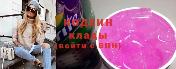 молекула духа Арсеньев